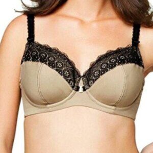 36C Cake Lingerie Honeycomb Macaroon Underwire Bra NWT